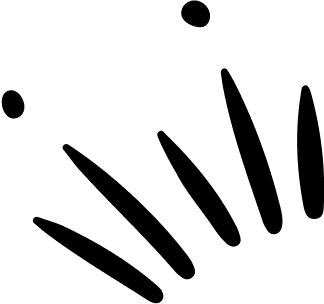 Vision Avatar
